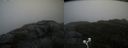 ./images/calvert/buxton2/20200928/buxton220200928_145502M.jpg