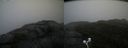 ./images/calvert/buxton2/20200928/buxton220200928_150502M.jpg