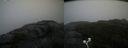 ./images/calvert/buxton2/20200928/buxton220200928_152502M.jpg