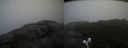 ./images/calvert/buxton2/20200928/buxton220200928_154002M.jpg