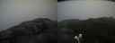 ./images/calvert/buxton2/20200928/buxton220200928_155002M.jpg