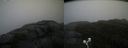 ./images/calvert/buxton2/20200928/buxton220200928_161003M.jpg