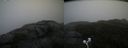./images/calvert/buxton2/20200928/buxton220200928_165003M.jpg