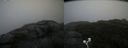 ./images/calvert/buxton2/20200928/buxton220200928_171002M.jpg