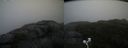 ./images/calvert/buxton2/20200928/buxton220200928_172002M.jpg