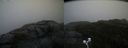./images/calvert/buxton2/20200928/buxton220200928_180502M.jpg