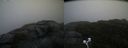 ./images/calvert/buxton2/20200928/buxton220200928_181002M.jpg