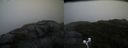 ./images/calvert/buxton2/20200928/buxton220200928_183503M.jpg