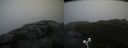 ./images/calvert/buxton2/20200928/buxton220200928_184002M.jpg