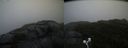 ./images/calvert/buxton2/20200928/buxton220200928_184503M.jpg