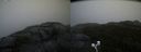 ./images/calvert/buxton2/20200928/buxton220200928_185003M.jpg