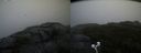 ./images/calvert/buxton2/20200928/buxton220200928_185503M.jpg