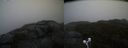./images/calvert/buxton2/20200928/buxton220200928_190503M.jpg