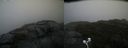 ./images/calvert/buxton2/20201005/buxton220201005_130503M.jpg