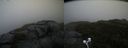./images/calvert/buxton2/20201005/buxton220201005_133502M.jpg