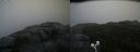 ./images/calvert/buxton2/20201005/buxton220201005_162503M.jpg