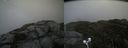 ./images/calvert/buxton2/20201007/buxton220201007_153502M.jpg