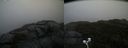 ./images/calvert/buxton2/20201009/buxton220201009_164503M.jpg