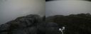 ./images/calvert/buxton2/20201011/buxton220201011_155502M.jpg