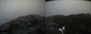 ./images/calvert/buxton2/20201011/buxton220201011_161503M.jpg