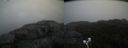 ./images/calvert/buxton2/20201016/buxton220201016_140003M.jpg