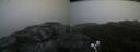 ./images/calvert/buxton2/20201016/buxton220201016_145503M.jpg