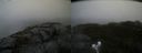 ./images/calvert/buxton2/20201018/buxton220201018_121503M.jpg