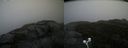 ./images/calvert/buxton2/20201018/buxton220201018_134003M.jpg
