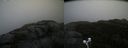 ./images/calvert/buxton2/20201018/buxton220201018_134503M.jpg