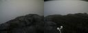 ./images/calvert/buxton2/20201018/buxton220201018_135503M.jpg