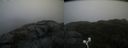 ./images/calvert/buxton2/20201018/buxton220201018_155503M.jpg
