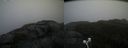./images/calvert/buxton2/20201018/buxton220201018_160503M.jpg