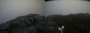 ./images/calvert/buxton2/20201018/buxton220201018_161003M.jpg