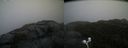 ./images/calvert/buxton2/20201018/buxton220201018_170503M.jpg