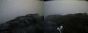./images/calvert/buxton2/20201023/buxton220201023_091003M.jpg