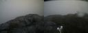 ./images/calvert/buxton2/20201026/buxton220201026_152003M.jpg