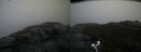 ./images/calvert/buxton2/20201027/buxton220201027_102003M.jpg