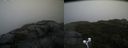 ./images/calvert/buxton2/20201027/buxton220201027_114502M.jpg