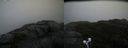 ./images/calvert/buxton2/20201027/buxton220201027_124503M.jpg