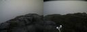 ./images/calvert/buxton2/20201027/buxton220201027_131003M.jpg