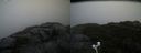 ./images/calvert/buxton2/20201027/buxton220201027_132003M.jpg