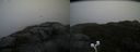 ./images/calvert/buxton2/20201027/buxton220201027_132503M.jpg