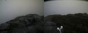 ./images/calvert/buxton2/20201027/buxton220201027_135002M.jpg