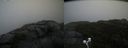 ./images/calvert/buxton2/20201027/buxton220201027_143502M.jpg