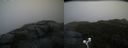 ./images/calvert/buxton2/20201027/buxton220201027_155003M.jpg