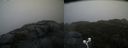 ./images/calvert/buxton2/20201027/buxton220201027_155503M.jpg