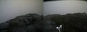 ./images/calvert/buxton2/20201027/buxton220201027_161503M.jpg
