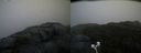 ./images/calvert/buxton2/20201027/buxton220201027_163502M.jpg