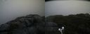 ./images/calvert/buxton2/20201028/buxton220201028_102502M.jpg
