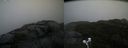 ./images/calvert/buxton2/20201028/buxton220201028_113503M.jpg
